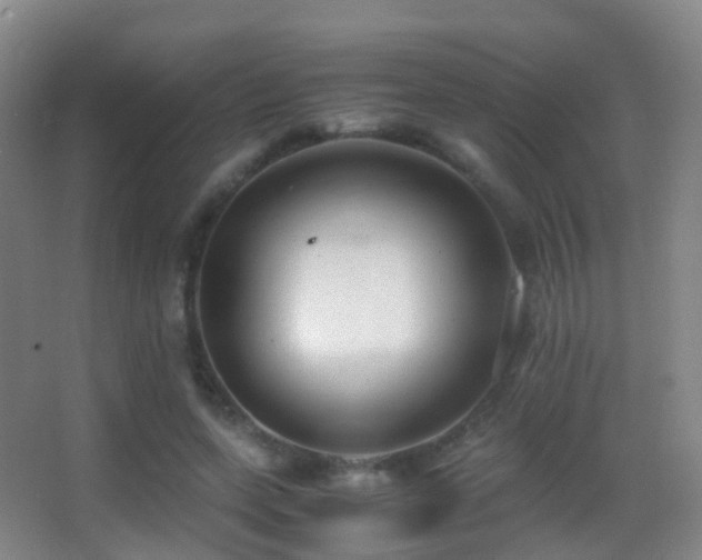 X0000062880543200601131311