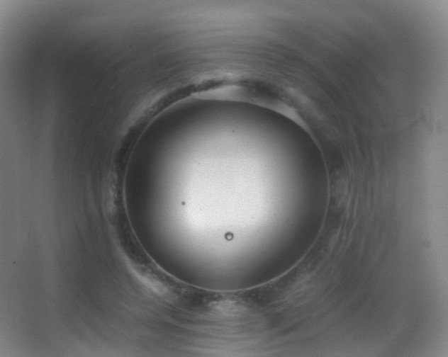 X0000062880544200601131311
