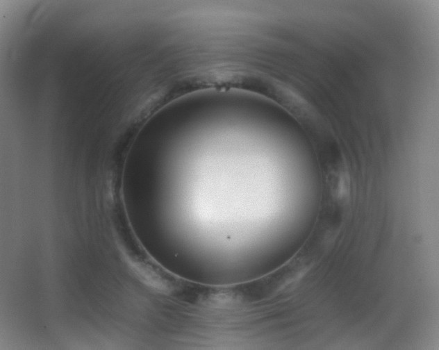 X0000062880546200601131311