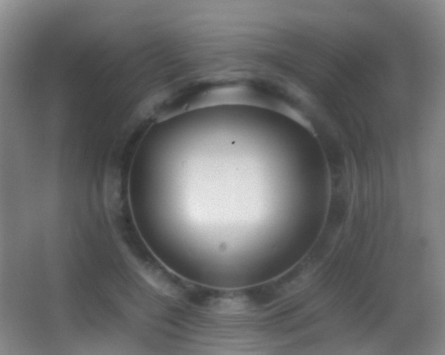 X0000062880548200601131311