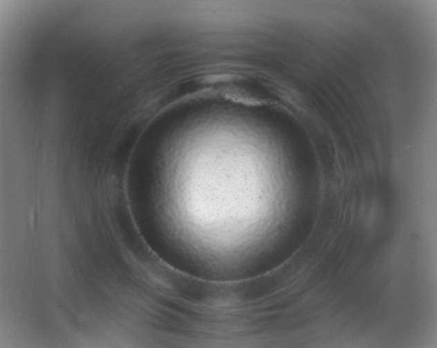 X0000062880551200601131311