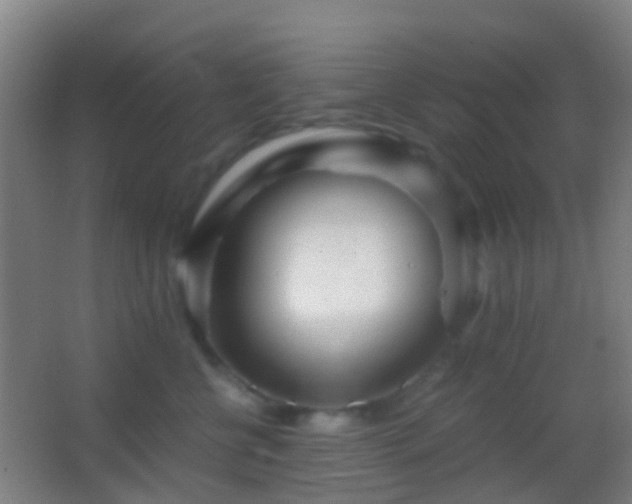 X0000062880570200601131311