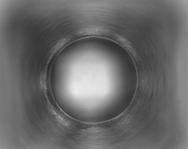 X0000062880578200601131311