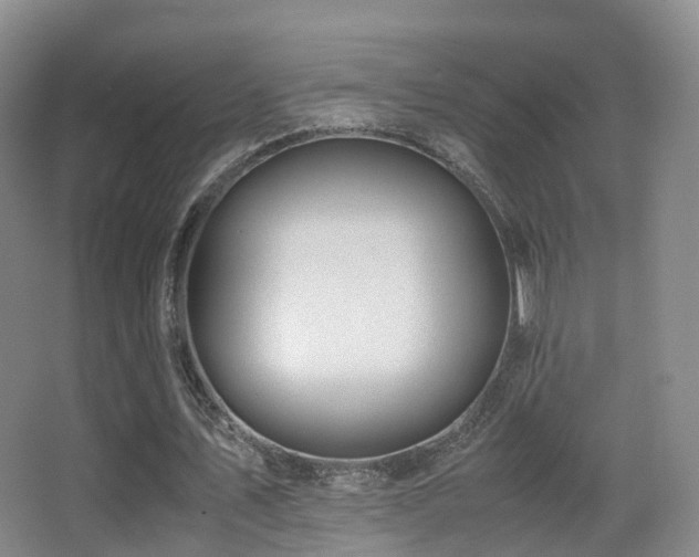 X0000062880579200601131311