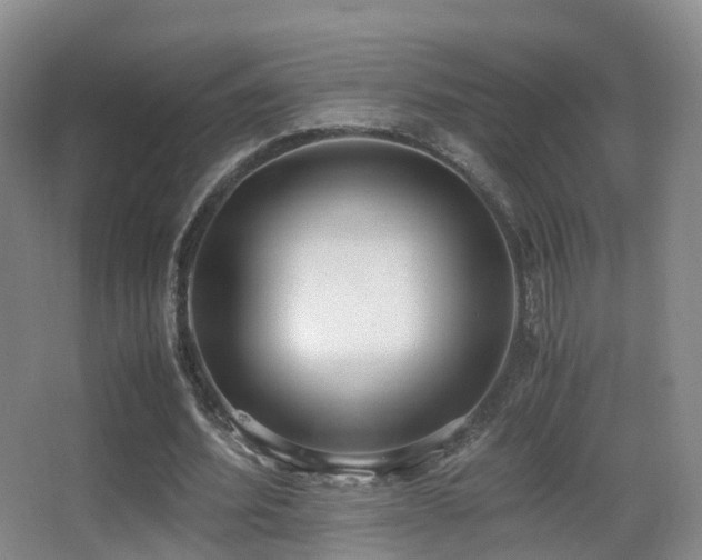 X0000062880580200601131311