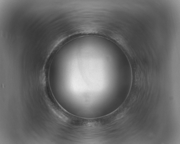 X0000062880584200601131311