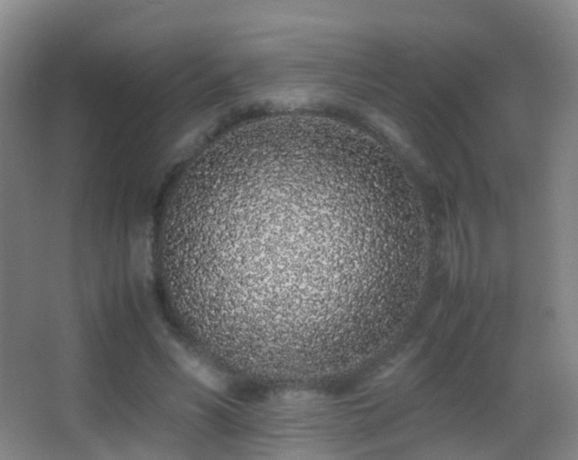 X0000062880590200601131311