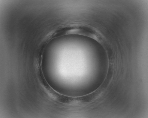 X0000062880593200601131310