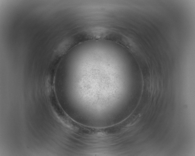 X0000062880594200601131310