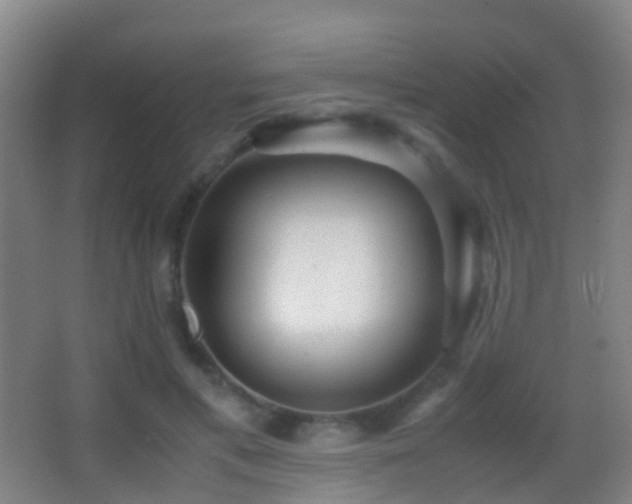 X0000062880597200601131310