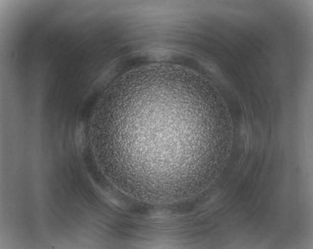 X0000062880598200601131310