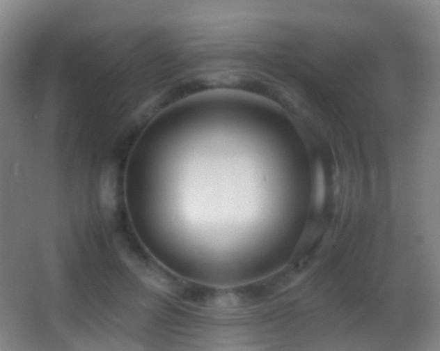 X0000062880600200601131310