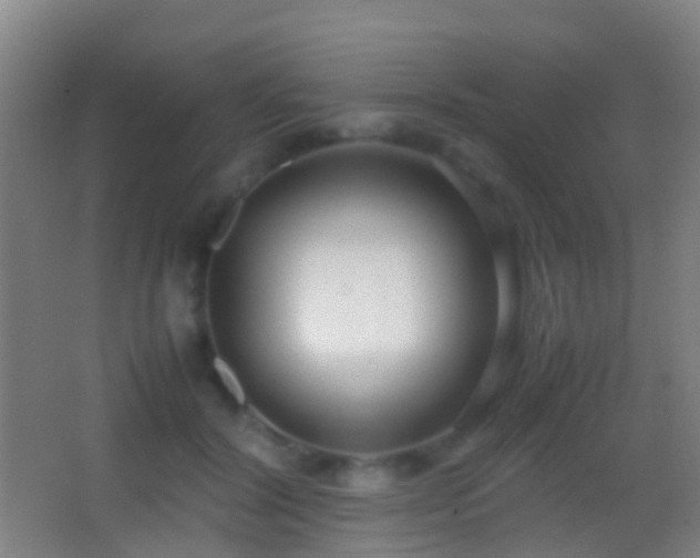 X0000062880604200601131310