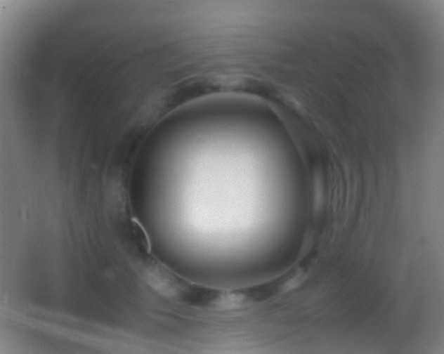 X0000062880609200601131310