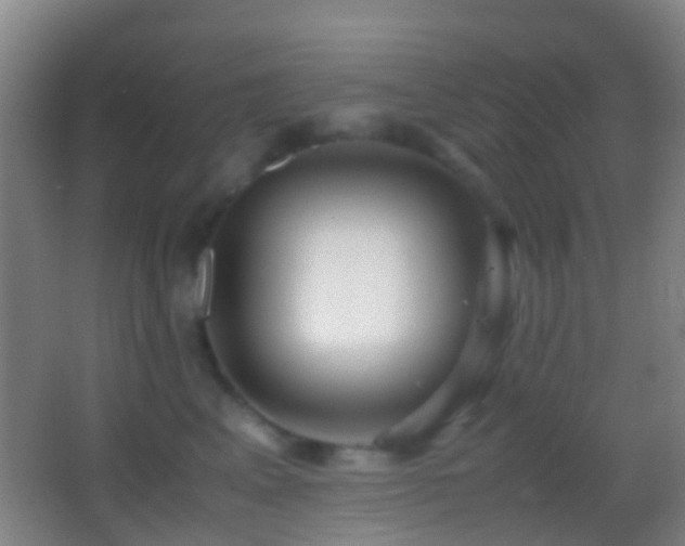X0000062880617200601131310