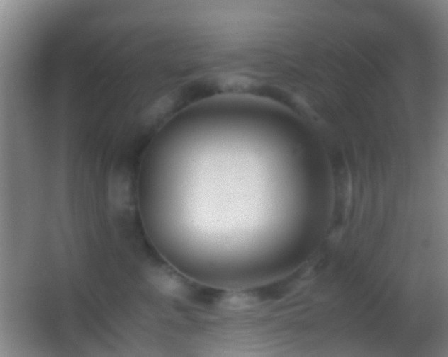 X0000062880619200601131310