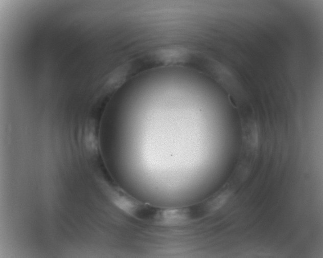 X0000062880622200601131310