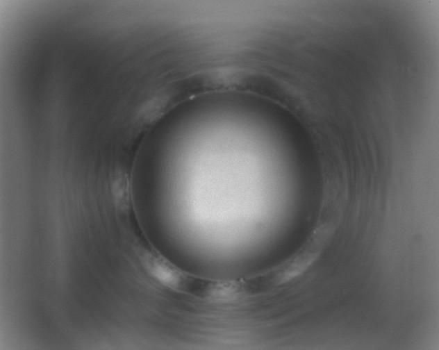 X0000062880624200601131310