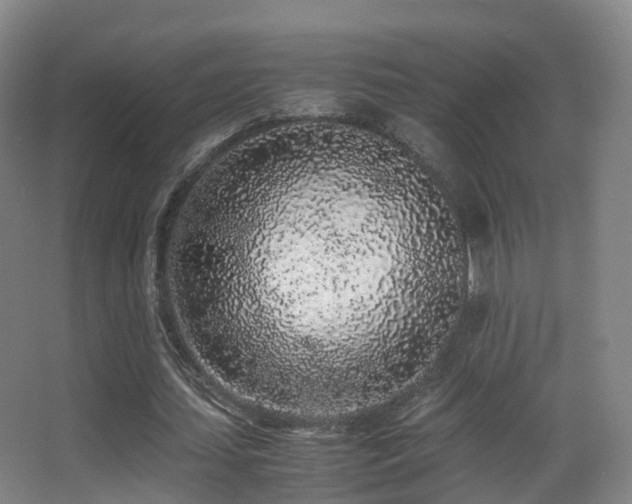 X0000062880627200601131309