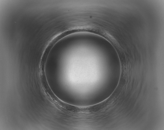 X0000062880628200601131309