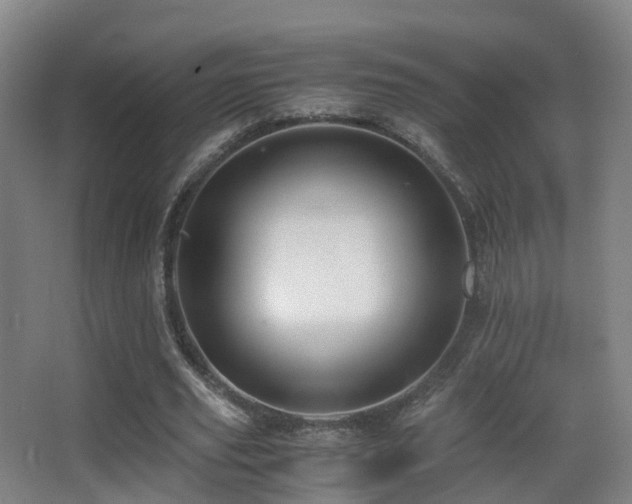 X0000062880629200601131309