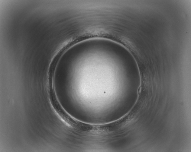 X0000062880630200601131309