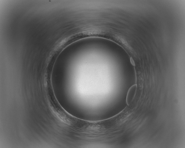 X0000062880631200601131309