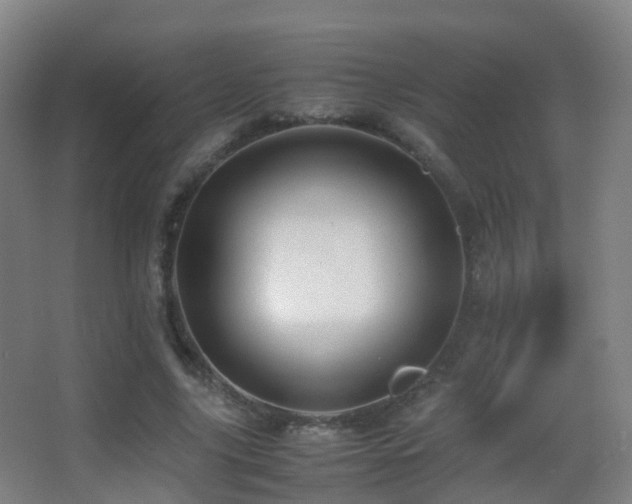 X0000062880635200601131309