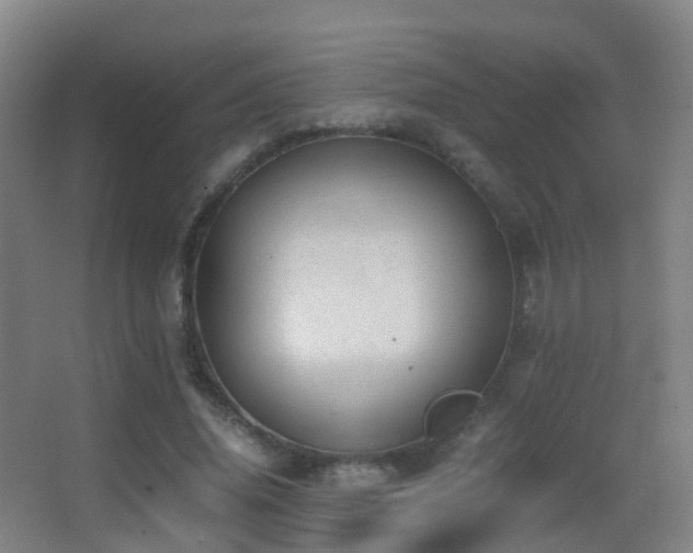 X0000062880636200601131309