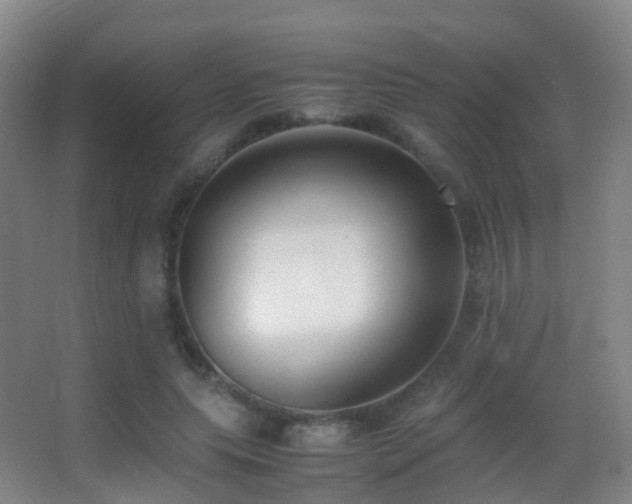 X0000062880639200601131309
