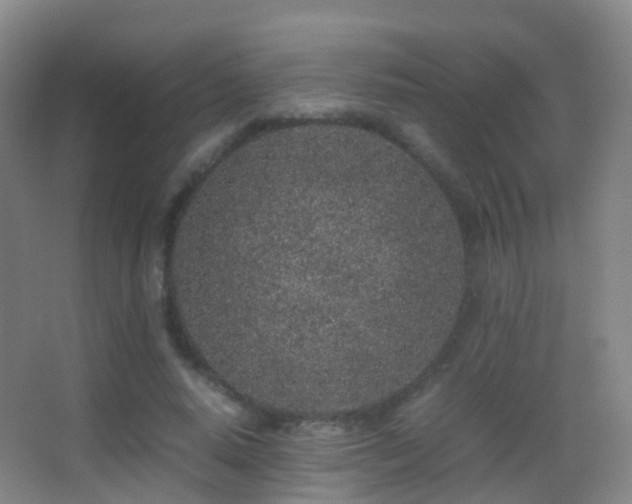 X0000062880640200601131309