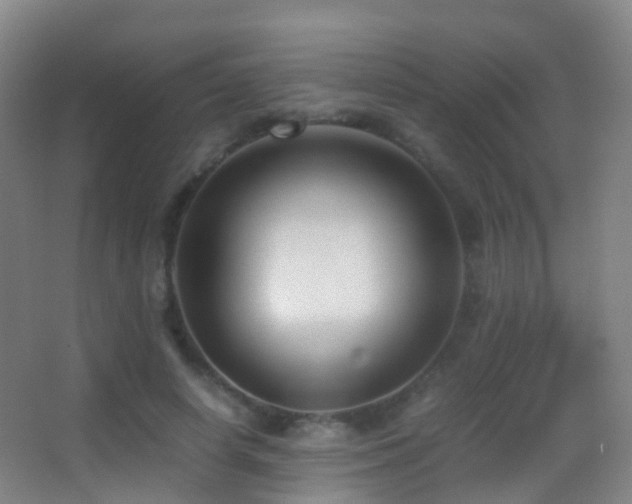 X0000062880642200601131309