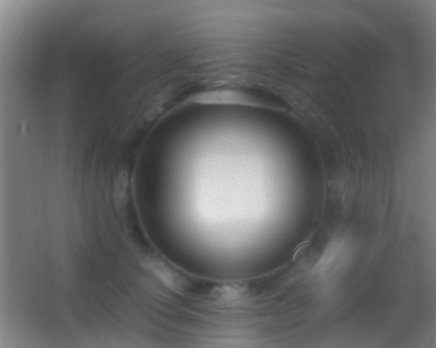 X0000062880660200601131310
