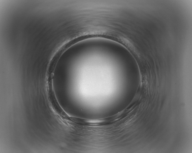 X0000062880676200601131309