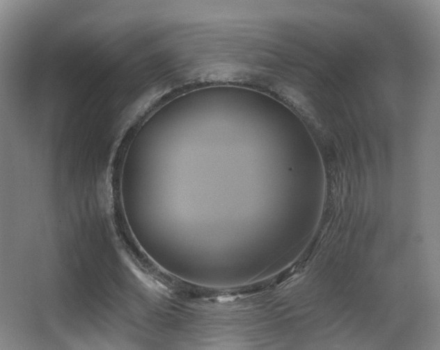 X0000062880678200601131309