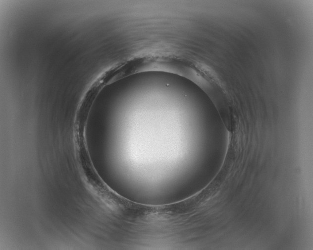 X0000062880680200601131309