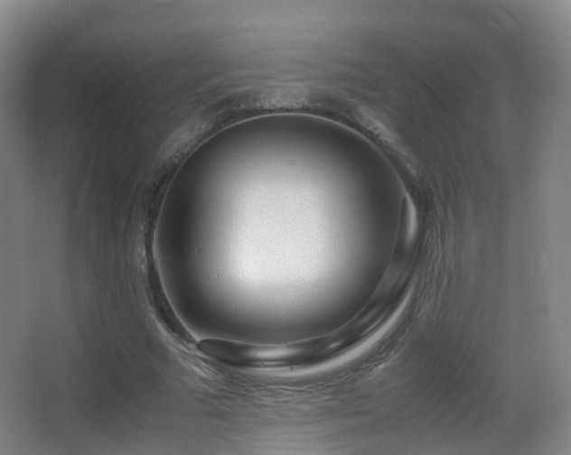 X0000062880681200601131309