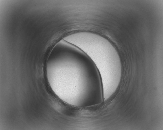 X0000062880685200601131309