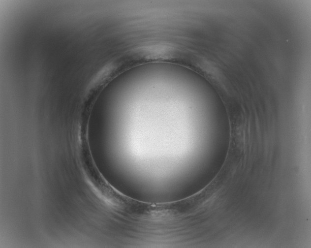 X0000062880686200601131309