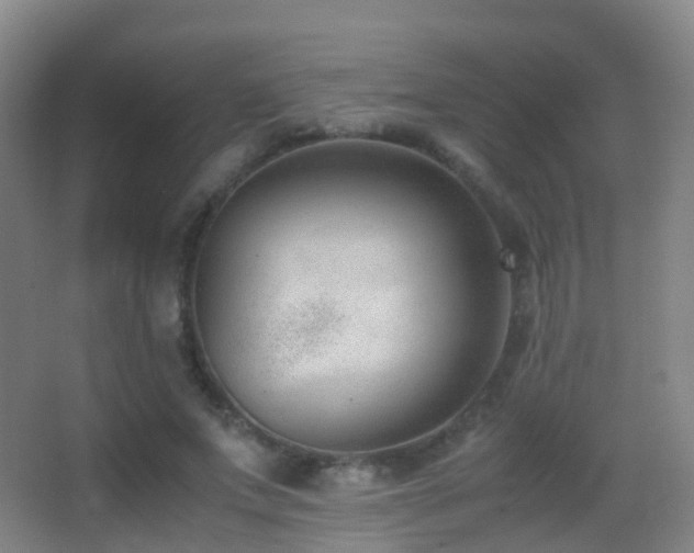 X0000062880687200601131309