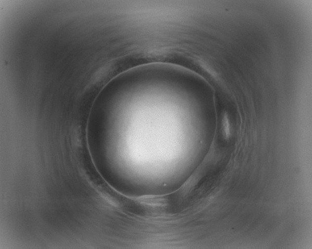 X0000062880689200601131309