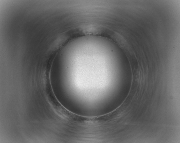 X0000062880690200601131309