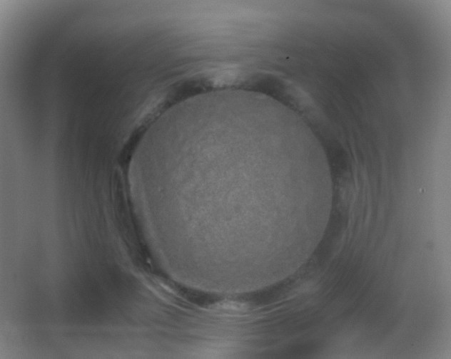 X0000062880691200601131309