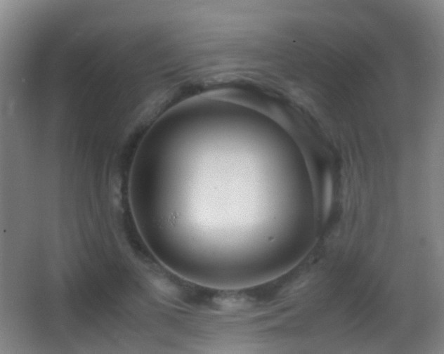 X0000062880693200601131309