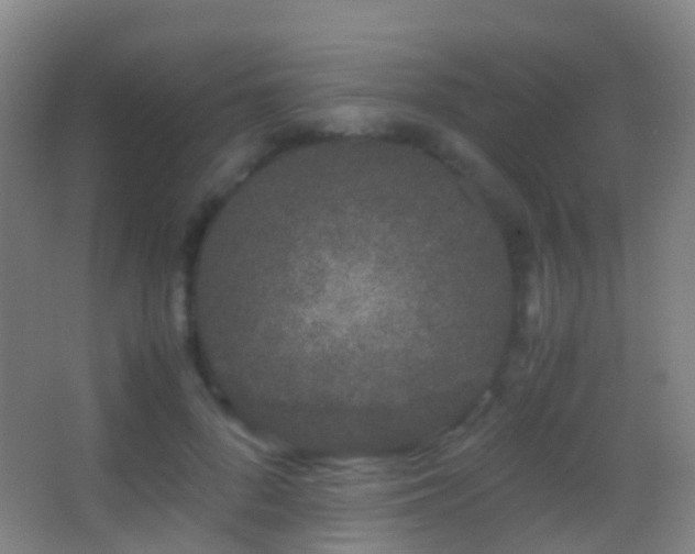 X0000062880696200601131309