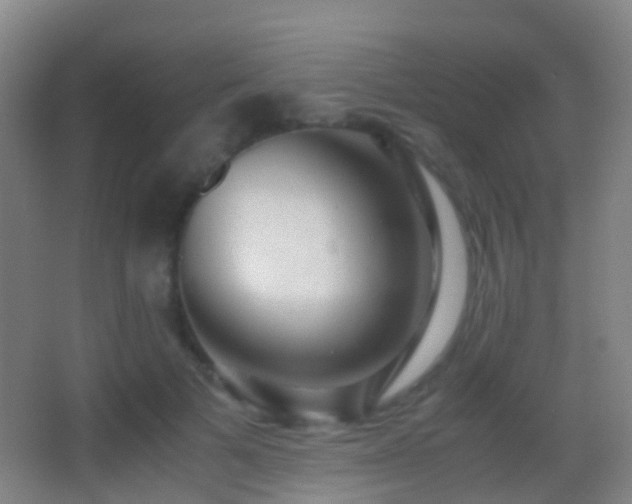 X0000062880697200601131309