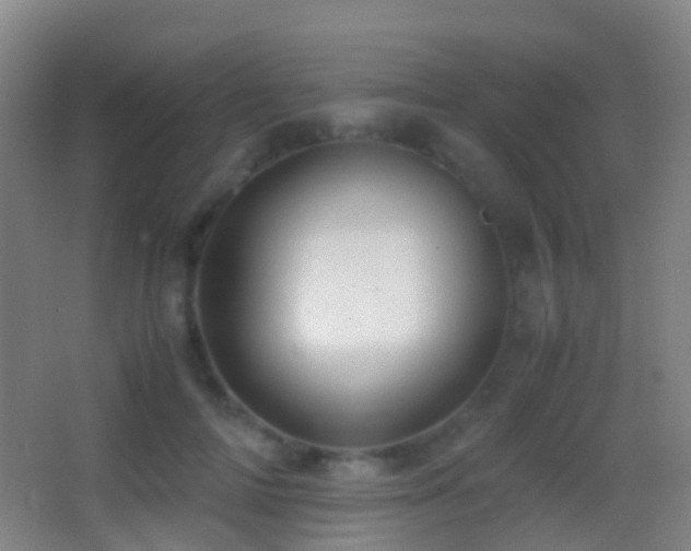 X0000062880698200601131309