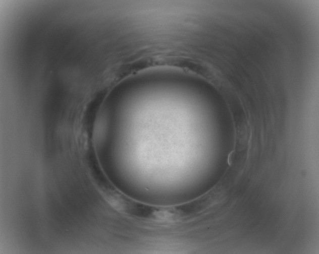 X0000062880703200601131309