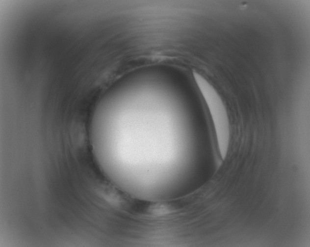 X0000062880704200601131309