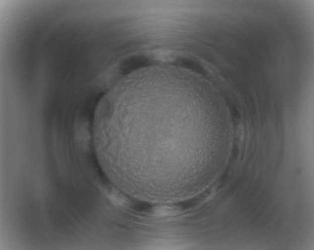X0000062880707200601131309